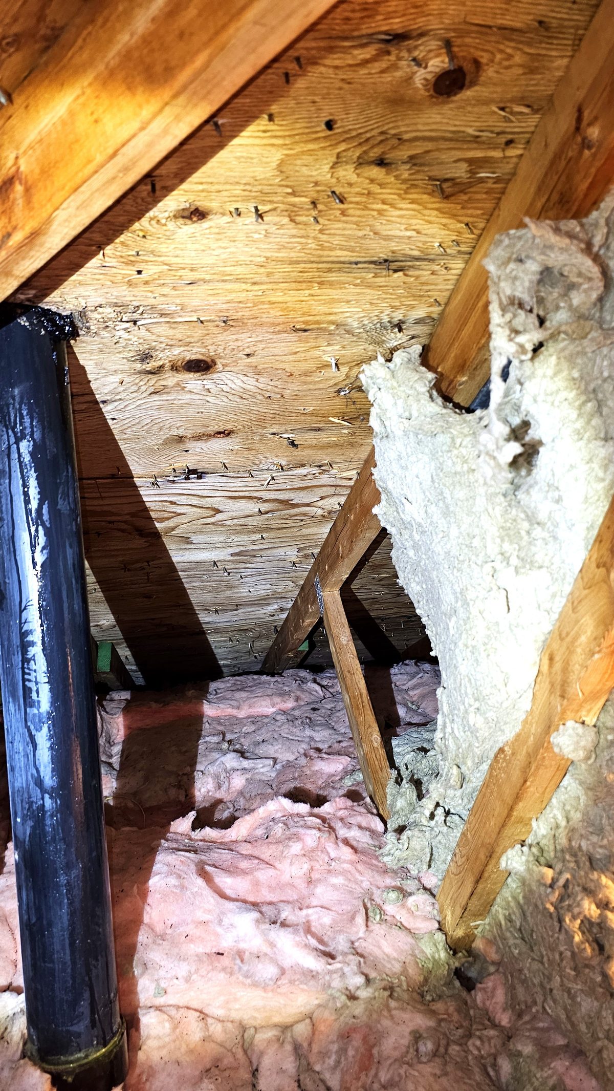 Clean attic rafters after mold removal treatment
