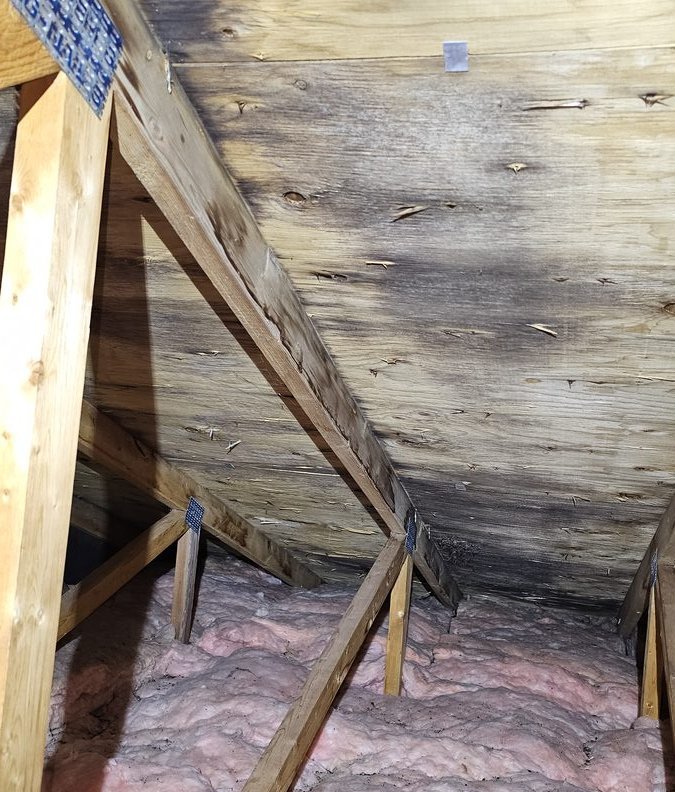 Attic roof sheathing with extensive black mold staining before remediation