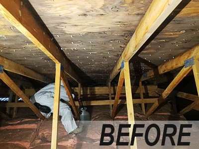 Attic roof sheathing covered in extensive mold growth with technician working in protective gear