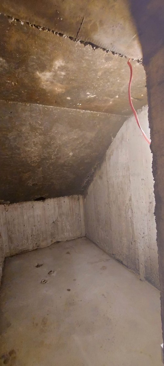 Cold room walls clean and treated after remediation